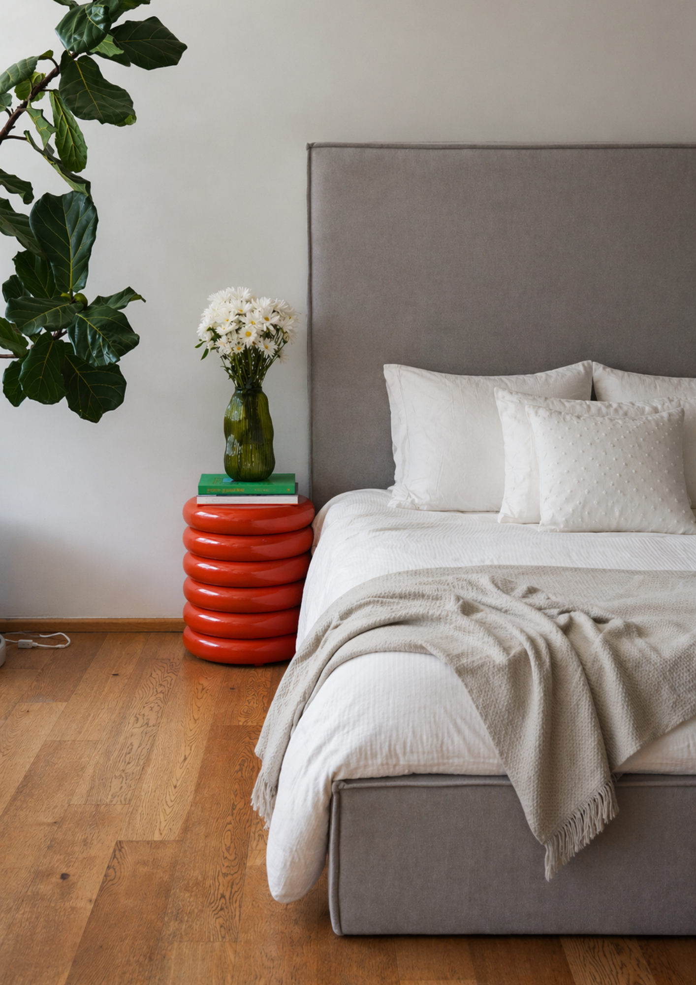 CABECERAS EDICION LIMITADA 2026 / SOLO BASE