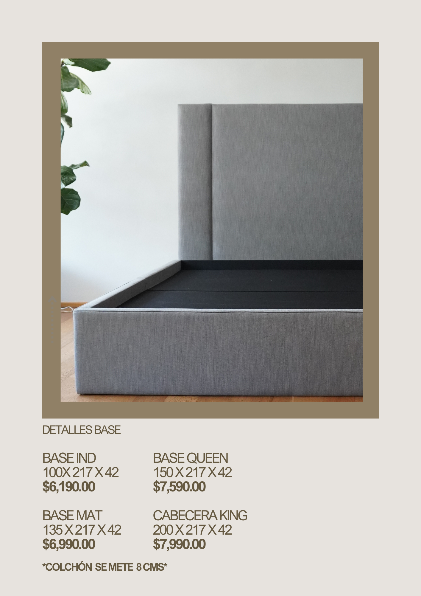 CABECERAS EDICION LIMITADA 2026 / SOLO BASE