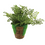 Planta Artificial con Musgo